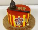 Antonio's Harry Potter Cake