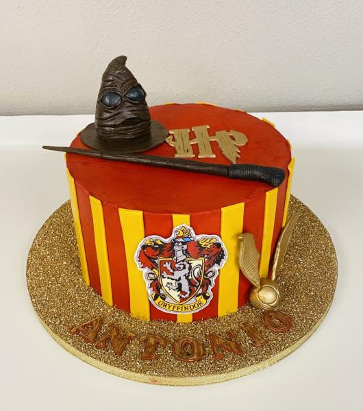 Antonio's Harry Potter Cake