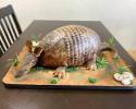 Mr. Armadillo Cake