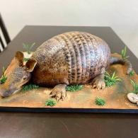 Armadillo Cake