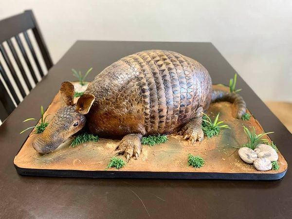 Mr. Armadillo Cake