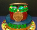 TMNT Birthday Cake