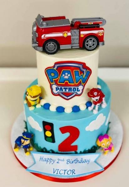 Victor's 2nd Birthday Paw Patrol Cake